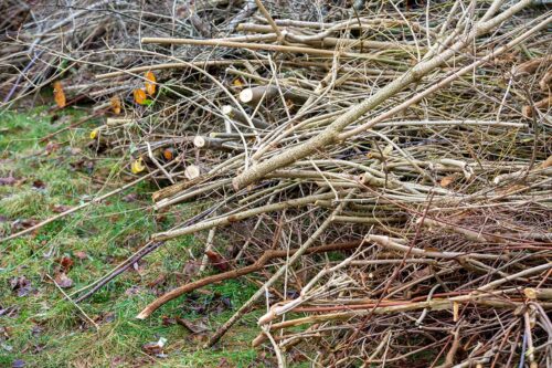 Professional Yard Waste Hauling Services in Metro Atlanta