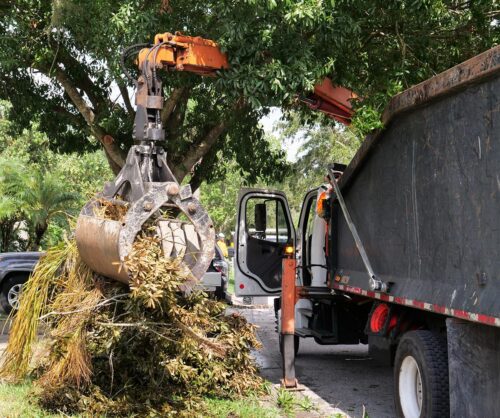 Professional Yard Waste Hauling Serving Atlanta and Communities Across Georgia